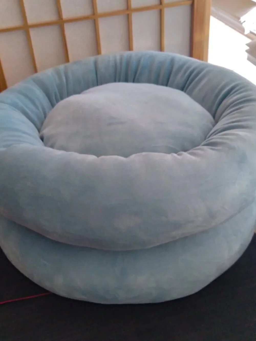 TWO Soft Cushy Washable Pet Beds